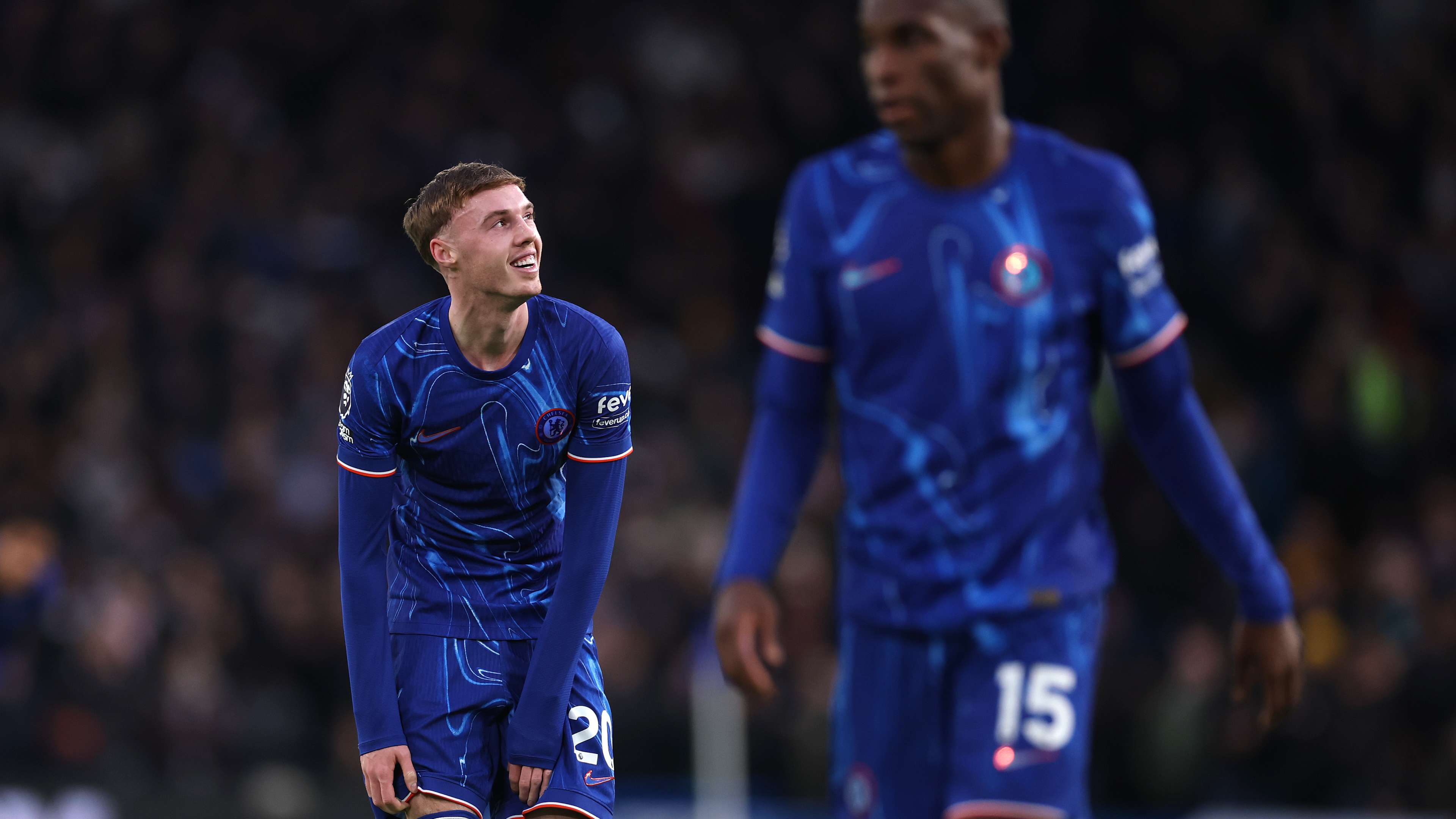 大多都兼具 大多都兼具