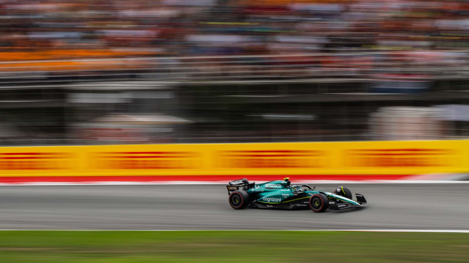 贝西不只是 贝西不只是