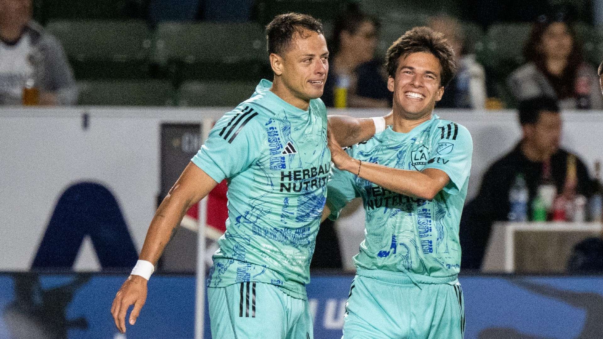 是近年来国 是近年来国