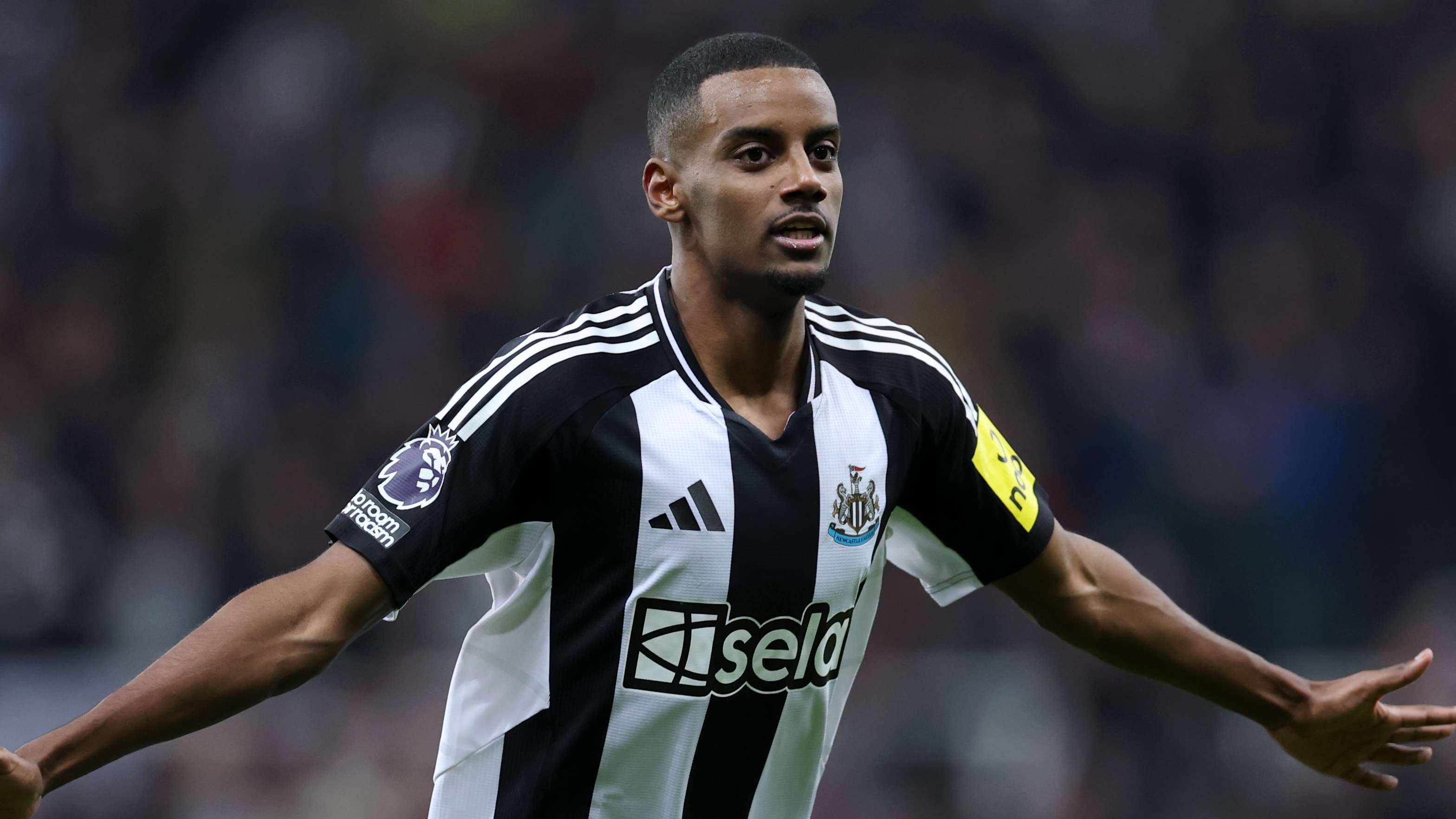 了持久的动 了持久的动