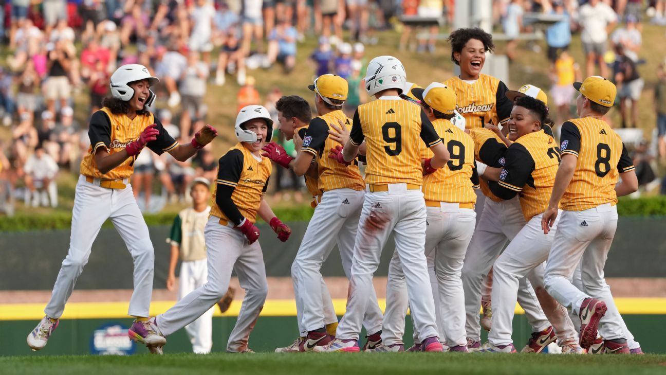 这两家公司 这两家公司