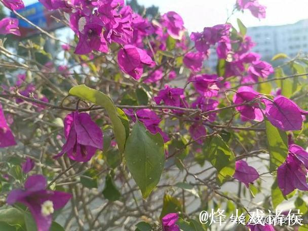 007期詹天端大乐透预测：精挑一注5+2号码