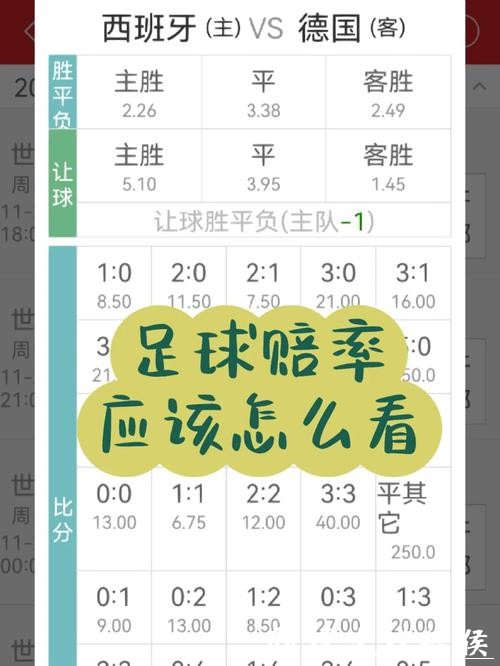 世界杯竞猜平台的赛事赔率研究方法 世界杯竞猜平台的赛事赔率研究方法